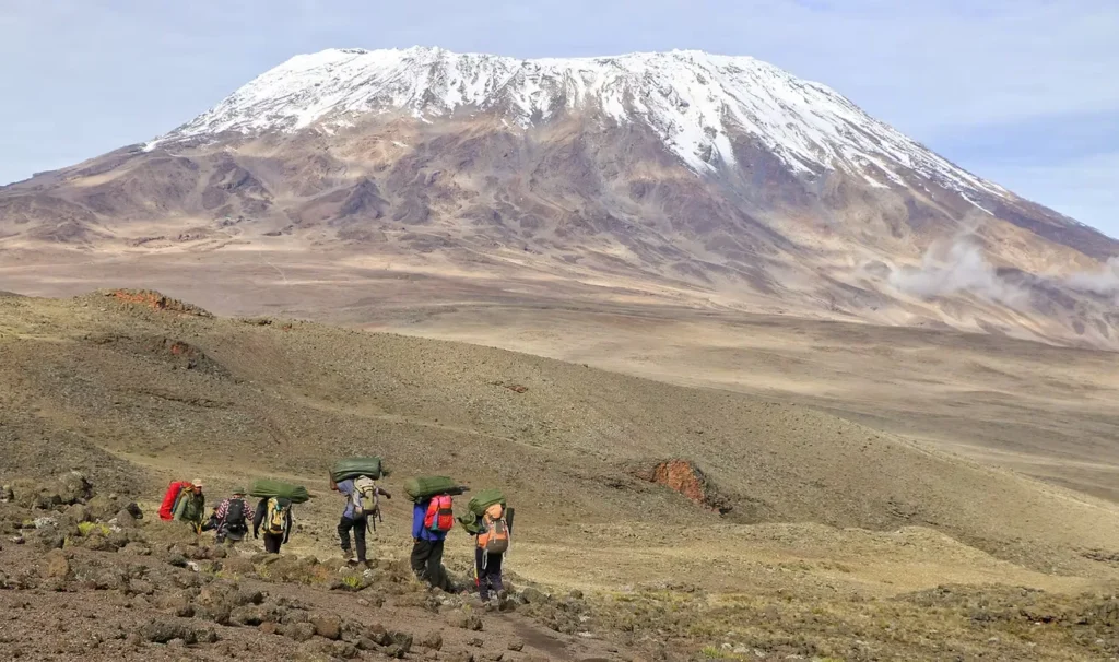Grasping Kilimanjaro via Lemosho Route