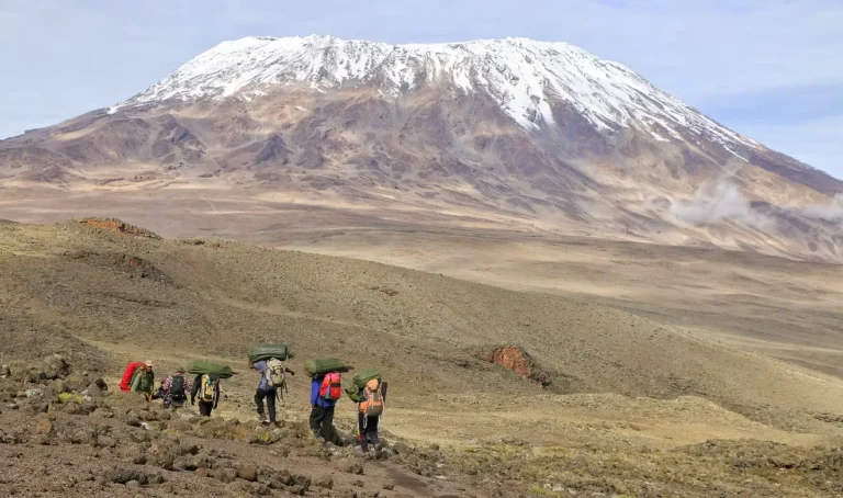Grasping Kilimanjaro via Lemosho Route
